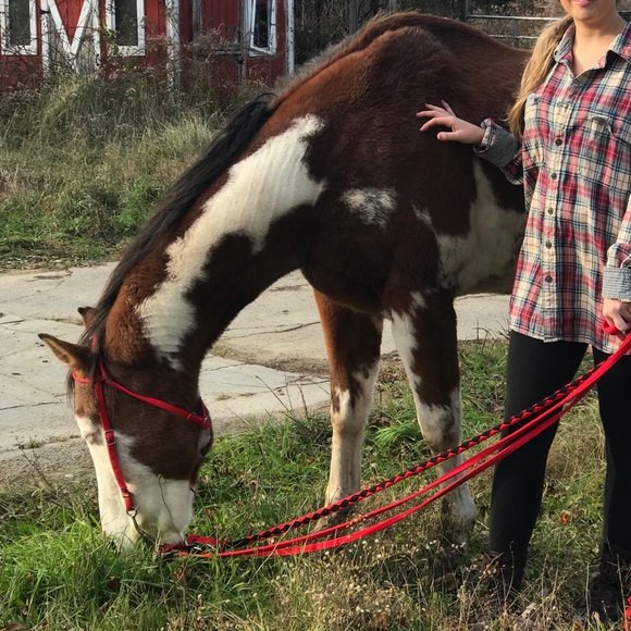 Meet your Posher, Gina - Picture 2 of 11